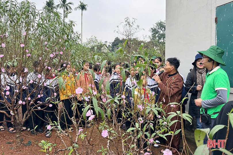 Học sinh tham quan điểm du lịch trải nghiệm vườn đào ở xã Cẩm Hưng. bqbht_br_4.jpg
