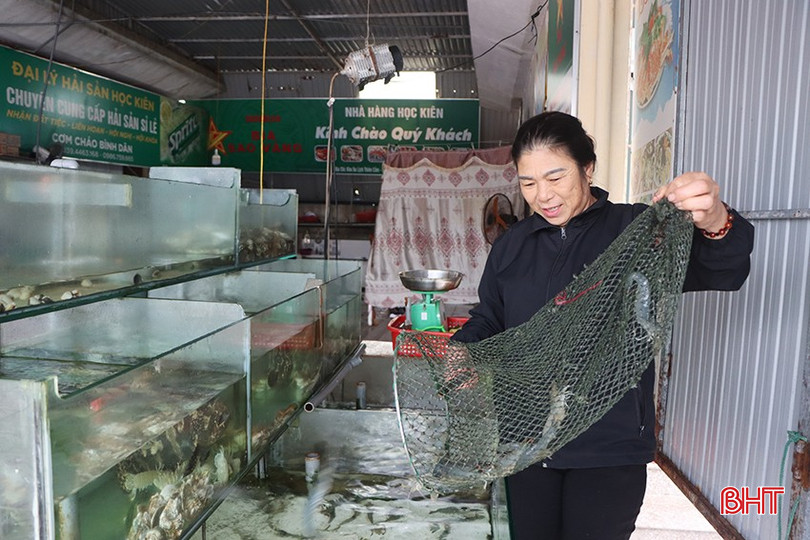 Các nhà hàng ở Thiên Cầm chuẩn bị nguồn hải sản có chất lượng để phục vụ du khách những ngày cuối năm. bqbht_br_7886.jpg