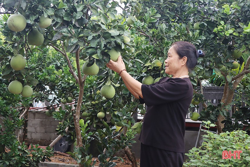 Huyện Cẩm Xuyên xây dựng các điểm du lịch nông thôn mới để "hút khách" tham quan. 2133.jpg