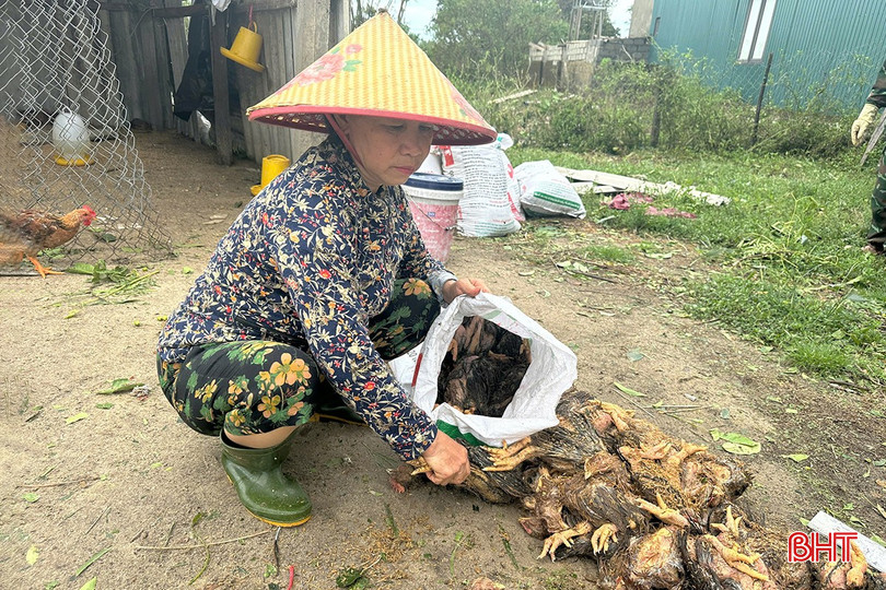 Hà Tĩnh tổng lực khắc phục hậu quả bão số 5 ảnh 8 Hà Tĩnh tổng lực khắc phục hậu quả bão số 5 ảnh 8