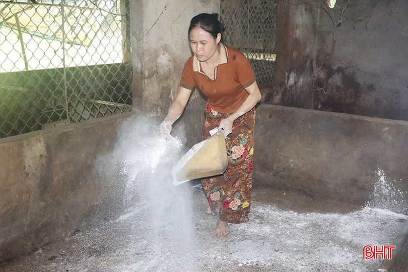 Người dân cần tuân thủ các quy định trong xử lý lợn bị dịch tả châu Phi để đảm bảo công tác phòng, chống dịch. bqbht_br_7281.jpg