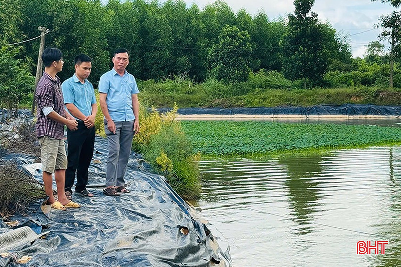 Ao nuôi tôm càng xanh và cá chạch rú, cá diêu hồng tốn ít chi phí đầu tư. bqbht_br_9021.jpg