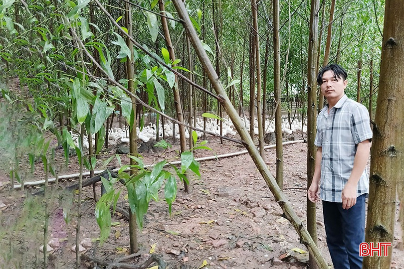 Anh Tuấn nuôi đàn vịt đẻ trứng 2.500 con. bqbht_br_1.jpg