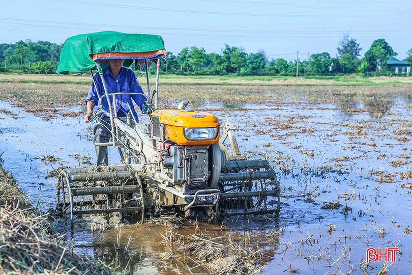 Vụ hè thu năm 2025, vùng sản xuất lúa hữu cơ thôn Bình Quang chuyển sang gieo lúa Khang dân. bqbht_br_img-3792.jpg