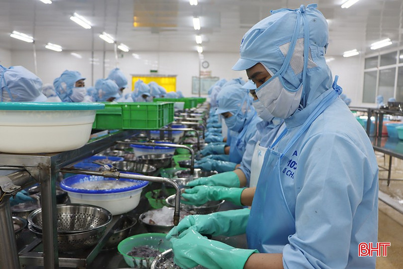 Doanh nghiệp xuất khẩu Hà Tĩnh cần chủ động tìm kiếm thị trường mới trong bối cảnh hàng rào thuế quan từ Mỹ. bqbht_br_2.jpg