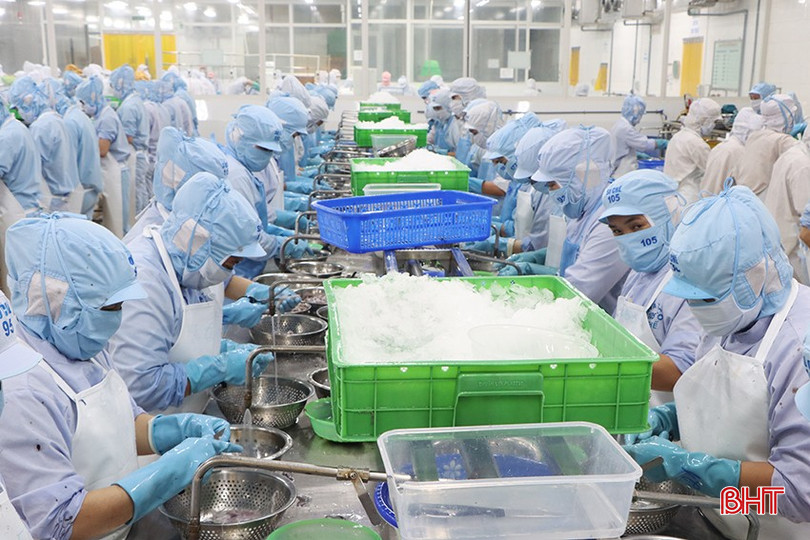 Công ty CP Xuất nhập khẩu Thủy sản Nam Hà Tĩnh tái cấu trúc để mở rộng thị trường xuất khẩu. bqbht_br_3.jpg