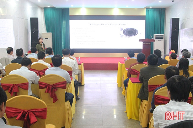 Hà Tĩnh tập huấn phòng chống dịch tả lợn châu Phi cho cán bộ thú y