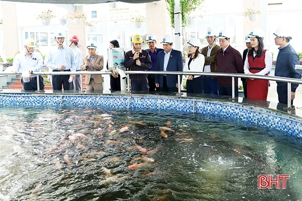 Giám sát việc thực hiện chính sách an toàn lao động tại Formosa Hà Tĩnh