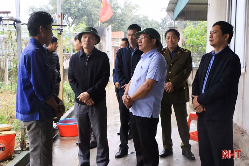 Chủ động phòng tránh dịch nhưng không bài trừ thịt lợn có nguồn gốc