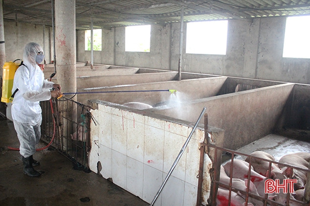 TP Hà Tĩnh cấp hơn 150 lít hoá chất phòng dịch bệnh tả lợn Châu Phi