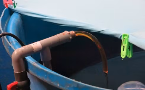 họp báo về nước mắm: vì sao lặp lại một sai lầm? hình 1 Họp báo về nước mắm: Vì sao lặp lại một sai lầm?