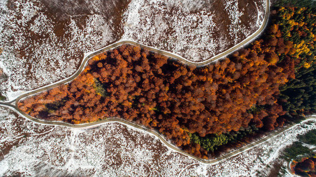 Ngắm rừng cây hai mùa đan xen đẹp nao lòng