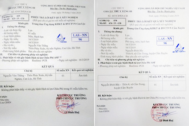 Ngăn dịch tả lợn Châu Phi “vượt” sông Lam vào Hà Tĩnh