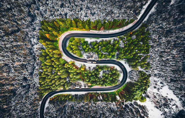 Ngắm rừng cây hai mùa đan xen đẹp nao lòng