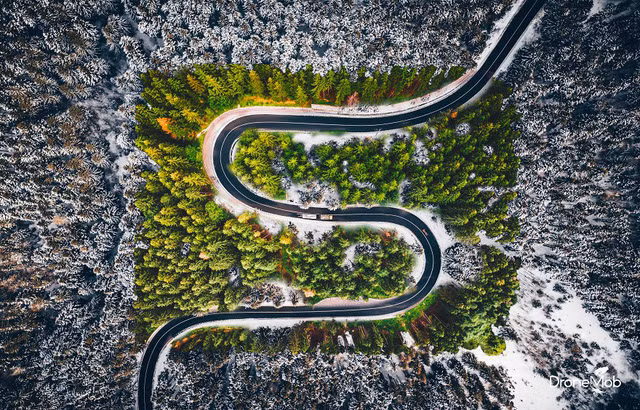 Ngắm rừng cây hai mùa đan xen đẹp nao lòng