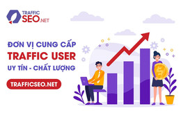 TrafficSEO - đơn vị cung cấp traffic user uy tín và chuyên nghiệp năm 2024