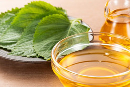 Uống nước tía tô hằng ngày có tốt không?