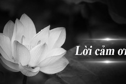 Lời cảm ơn