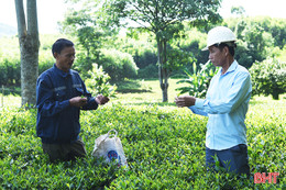 Trao "cần câu" đúng người