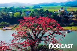 Tản văn: Dịu dàng màu nắng tháng ba