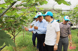 Đoàn Farmtrip các tỉnh khảo sát du lịch nông thôn Hà Tĩnh