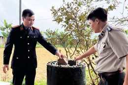 Tiêu hủy hơn 100kg pháo lậu và tang vật vụ án 