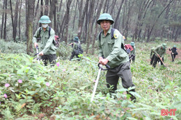 Lên phương án ứng phó "bà hỏa” đe doạ rừng Hương Sơn