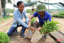 Bí thư chi bộ tâm huyết với việc thôn, giỏi làm kinh tế 