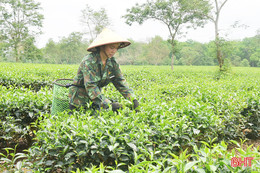 Huyện nắng nóng nhất Hà Tĩnh lên kịch bản ứng phó với nắng hạn