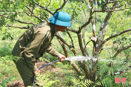 Cơ quan khí tượng quốc gia cảnh báo thời tiết nguy hiểm trong tháng 5