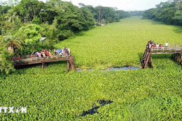 Sập cầu tại Bangladesh, ít nhất gần 20 người thương vong