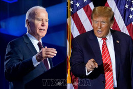 Bầu cử Mỹ 2024: Ông Trump vẫn dẫn trước Tổng thống Biden trong các cuộc thăm dò