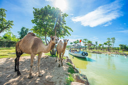 Hành trình cứu hộ hơn 1.500 động vật hoang dã của River Safari Nam Hội An