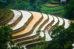 Hoàng Su Phì - Điểm hẹn mùa nước đổ