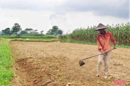 Người dân xã miền núi ở Hà Tĩnh quanh năm canh cánh nỗi lo... sét đánh!