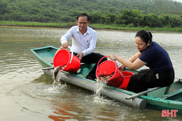 Nghi Xuân thả 8 tạ cá giống tái tạo nguồn lợi thủy sản