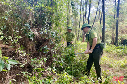 Nắng to lo phòng cháy núi Hồng