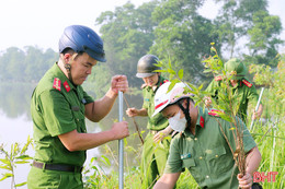 Trồng cây xanh, tạo cảnh quan đô thị sạch - đẹp tại phường ven đô 