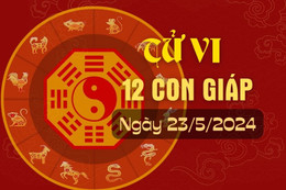 Tử vi 12 con giáp hôm nay ngày 23/5/2024