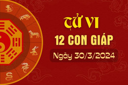 tử vi 12 con giáp