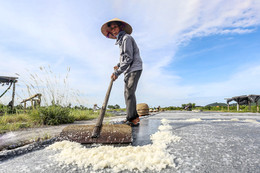 Lão nông 40 năm "cày ải" trên đồng muối