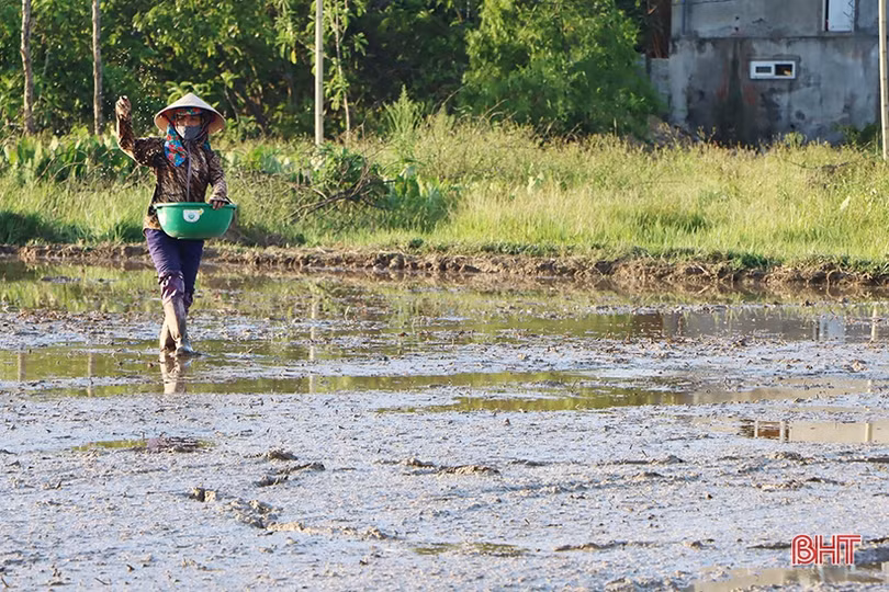 Hà Tĩnh: Thợ cày “trốn” nóng làm xuyên đêm hỗ trợ nhà nông gieo cấy sớm