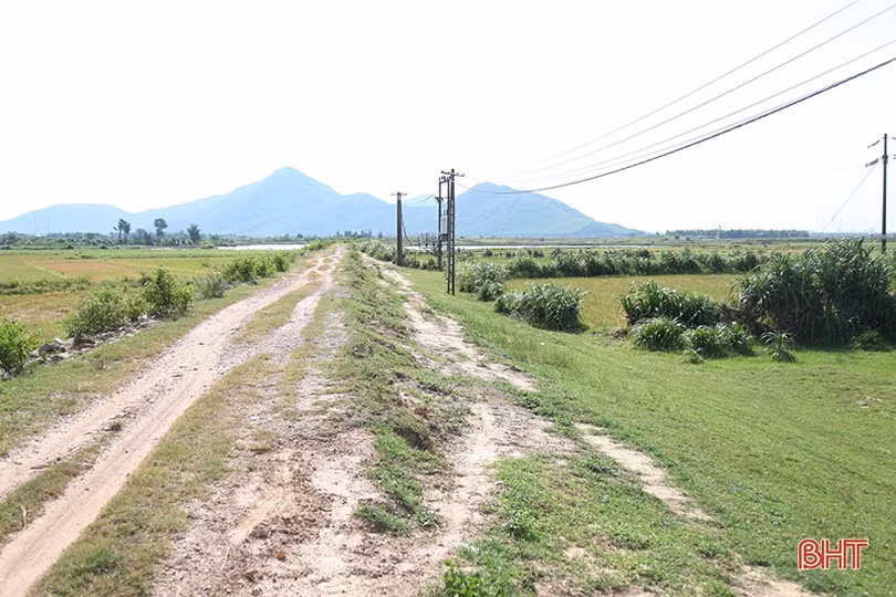 Chuẩn bị tốt phương án ứng phó thiên tai giúp đảm bảo an toàn về người và tài sản Nhân dân