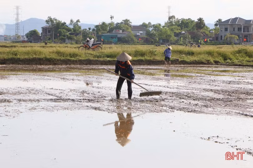 Nông dân Hà Tĩnh đẩy nhanh tiến độ sản xuất hè thu