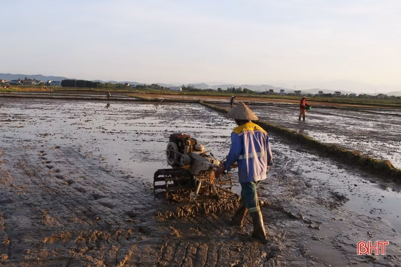 Nông dân Hà Tĩnh đẩy nhanh tiến độ sản xuất hè thu