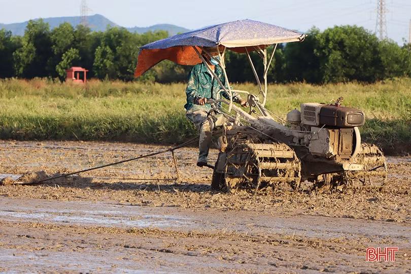 Hà Tĩnh: Thợ cày “trốn” nóng làm xuyên đêm hỗ trợ nhà nông gieo cấy sớm