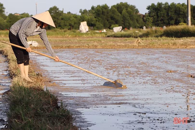 Hà Tĩnh: Thợ cày “trốn” nóng làm xuyên đêm hỗ trợ nhà nông gieo cấy sớm