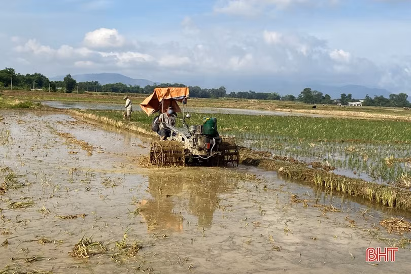 Nông dân Hà Tĩnh đẩy nhanh tiến độ sản xuất hè thu