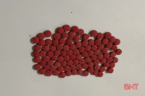 Công an Hương Sơn khởi tố đối tượng tàng trữ trái phép chất ma túy