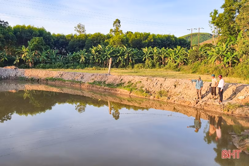 Chống hạn sớm cho vựa chè phía Nam Hà Tĩnh